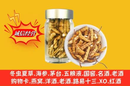 西乌珠穆沁旗名酒回收散虫草.jpg