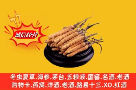 西乌珠穆沁旗名酒回收冬虫夏草.jpg